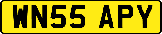 WN55APY