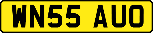 WN55AUO