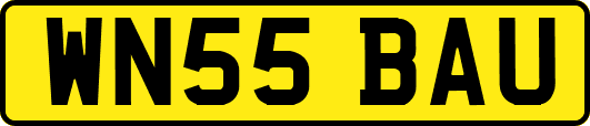 WN55BAU