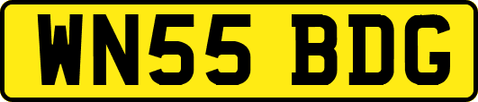 WN55BDG