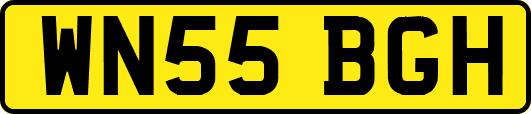 WN55BGH
