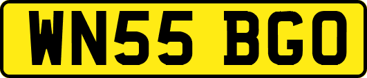 WN55BGO