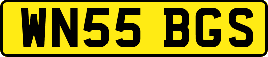 WN55BGS