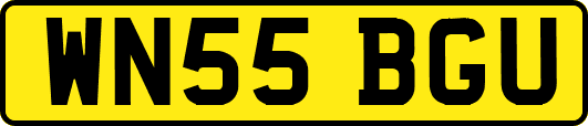 WN55BGU
