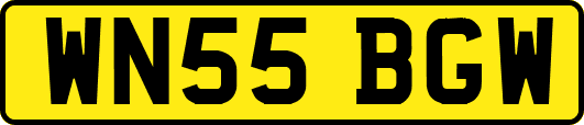 WN55BGW