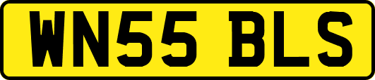 WN55BLS