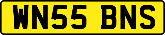WN55BNS