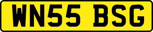WN55BSG