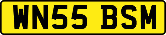 WN55BSM