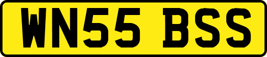 WN55BSS