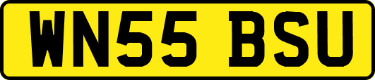WN55BSU