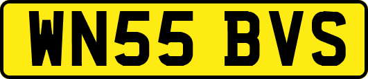 WN55BVS