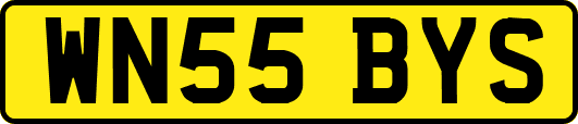 WN55BYS