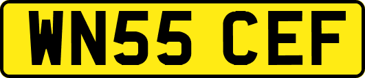 WN55CEF