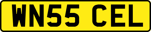 WN55CEL