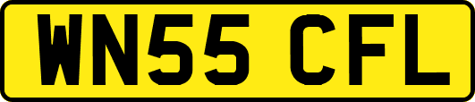 WN55CFL