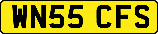 WN55CFS