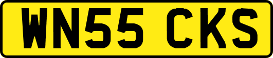WN55CKS