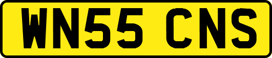WN55CNS