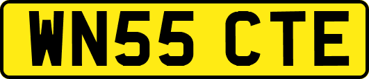 WN55CTE