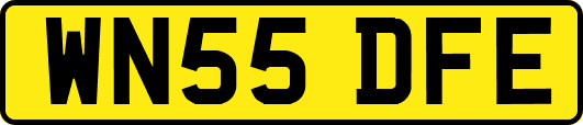 WN55DFE