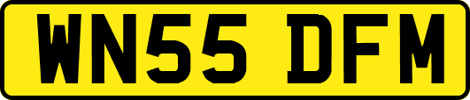 WN55DFM