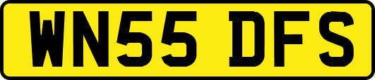 WN55DFS