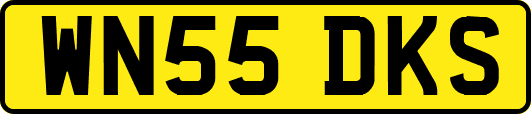 WN55DKS