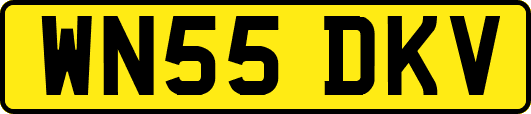 WN55DKV