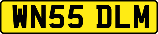 WN55DLM