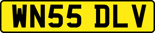 WN55DLV