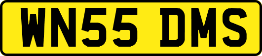 WN55DMS