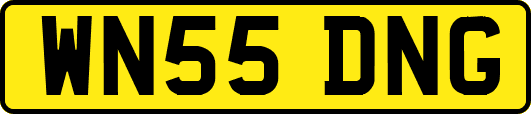 WN55DNG