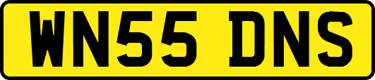 WN55DNS