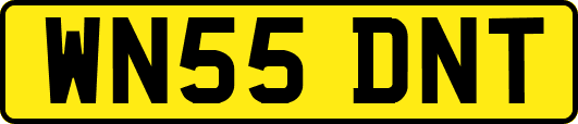 WN55DNT