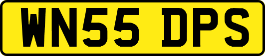 WN55DPS