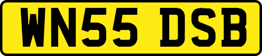 WN55DSB