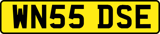 WN55DSE