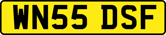 WN55DSF