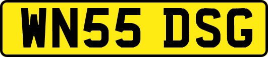 WN55DSG