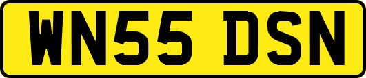 WN55DSN