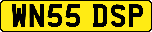 WN55DSP