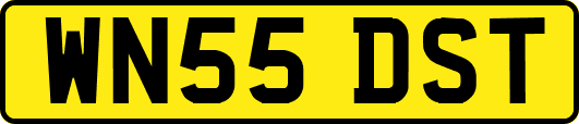 WN55DST