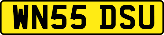 WN55DSU