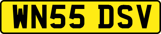 WN55DSV