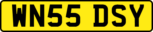 WN55DSY