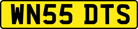 WN55DTS