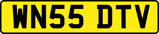 WN55DTV