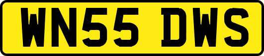 WN55DWS