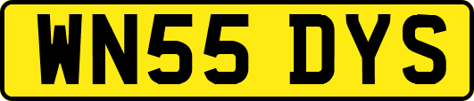 WN55DYS